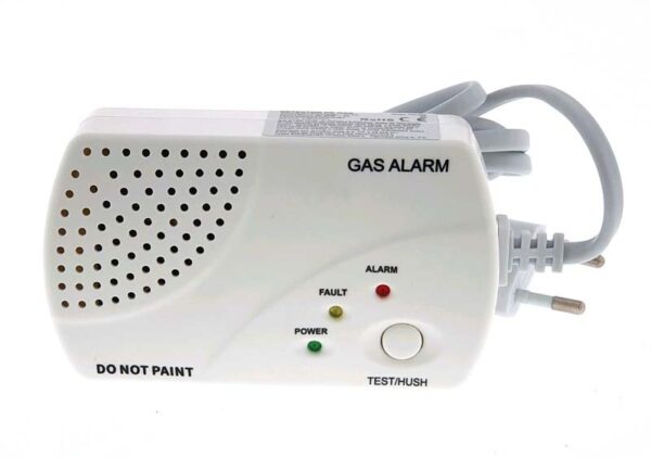 Detector Gas