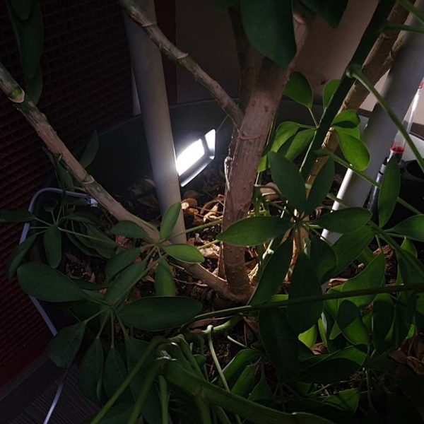 Pica de jardín LED integrado 5W