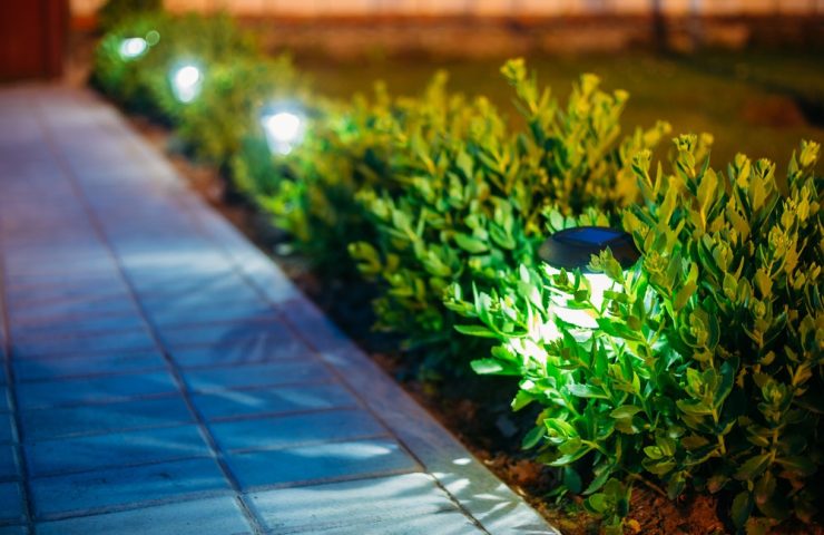 Focos de jardin